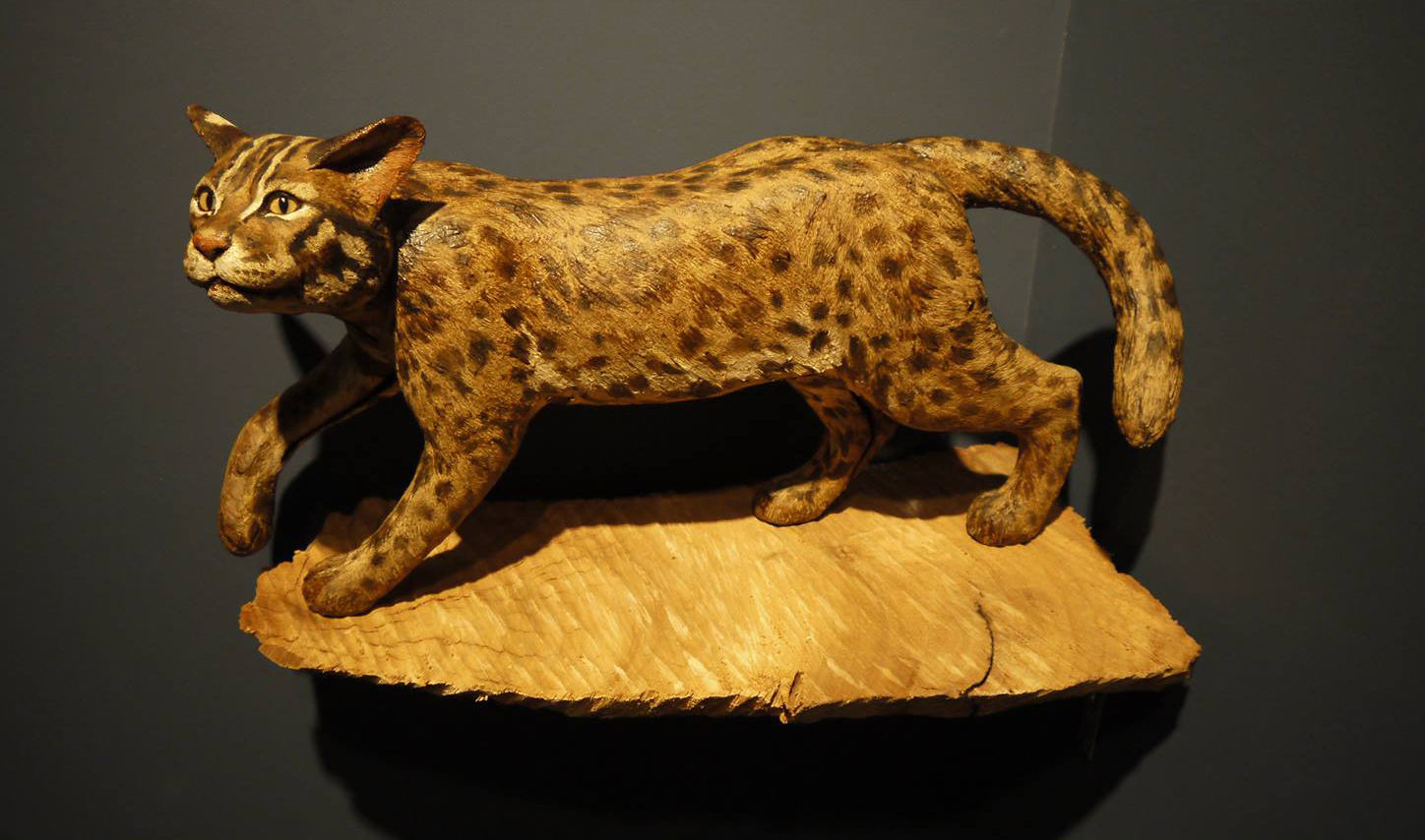 Leopard cat / 2014  / 乾漆